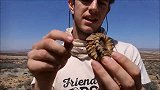 男子在野外探险时，意外发现“龙形”生物，浑身坚如盔甲！