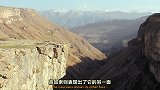 沙丘中的旅居专家长耳刺猬！拥有超强听力的耳朵还能调节体温！