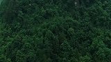 住这么高不怕吗？晚上能睡着？