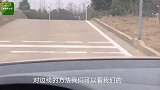 驾考科目二：坡道定点停车与起步满分教程，掌握要点，一把过！