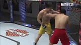UFC-14年-终极斗士第10集：次中量级八强赛王赛vs吴奇泽二番战-专题