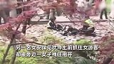 景区女游客与安保人员扭打，两男子控制安保人员挨打？景区回应
