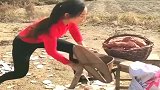 农村小媳妇自制切红薯神器，一天可以切几百斤红薯，太聪明了！