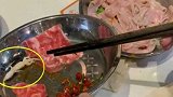 广东深圳：火锅吃到最后，肥牛碟里发现活壁虎！顾客崩溃