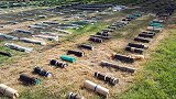 俄叙联军攻占叛军基地，查获大量化学武器，西方媒体集体失声