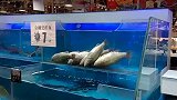 超市的鱼死掉了，高情商超市将鱼名字改掉