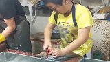 穷人的孩子早当家，小伙子这么小剖鱼的手法就这么熟练，佩服