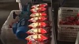 200万的进口设备和电风扇，厂长选择了进口设备