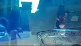 网约车司机载女子后被其男友持长刀追赶 逼停并持刀恐吓