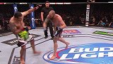 UFC-14年-UFC181前瞻：大胡子布朗精彩对战集锦-专题