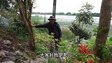 你向往的农村是啥样？来这个村庄看看，保证不后悔！
