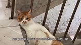 我怎么醒了以后在这呢
