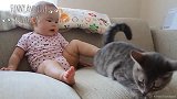 小猫躺在地上休息，男孩不断去抓小猫，小猫回头险些咬到男孩！
