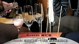 《葡萄酒鉴赏家》第二季第四集西班牙起泡酒