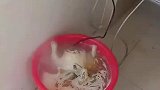 用桶做饭，真是人才啊