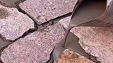 牛人铺地砖，涨见识了