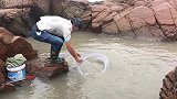 雷雨天突袭“心形大坑”，鱼群章鱼几下抓满桶，还扔了几十斤好货