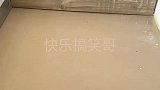 弹珠能指哪打哪儿？这应该不是特效吧？