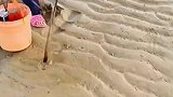 职业选手赶海绝不浪费一粒盐