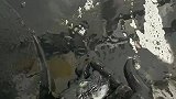 再也不吃墨鱼了，你要是不说我还以为你放机油呢