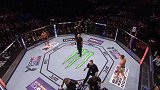 UFC-17年-UFC209自由格斗：伍德利vs汤普森一番战-专题
