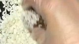好做的糯米肉丸，香糯又鲜美