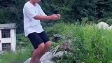 这西瓜藏得是真好