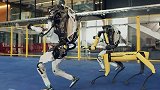 未来机器人能进化成什么样呢？知识先锋计划 世界机器人大会 机器人 黑科技 科技