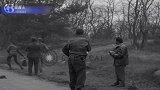 被解救的美国战俘珍贵录像，对德军做出这样的动作