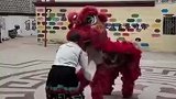 西藏小镇上的舞狮表演