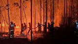 佛山山火10名责任人被刑拘 系勘察公司进行探钻引发