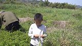五一拒绝出去看人，房车郊区安家，祖孙四人进山采野菜