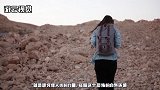 为什么在沙漠中的“石头”要捡起来？不捡后悔都来不及