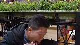 工地搬砖3天才能弥补损失
