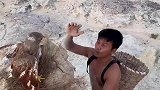 人鸟相遇，结局意想不到