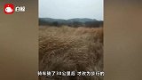 老板被困武汉40多天，徒步30公里偷偷出城，半路报警：走不动