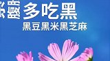 吃对食物身体好