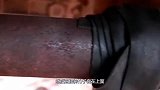 用竹子做汽车排气管会怎样老外亲自测试，没想到还自带消音效果