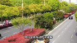 “玄学大师”诈骗团伙被端，警方灵魂拷问：有没有算到自己会被抓