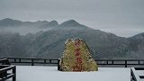 专家调查研究后认为，所谓的“驴头狼”有可能就是史前生物“沙犷”极地变脸了  武汉海昌极地海洋公园