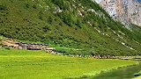 我在稻城等着你，你会来吗