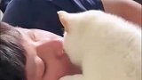 当你以为是在跟女友亲亲时
