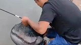钓鱼佬的心碎时刻，20斤大鱼就这么跑了
