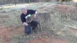 猎豹咬住男子腿，随后被抓住狂抡720度，豹子：大哥有话好好说