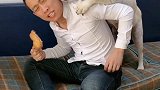 主人吃鸡腿不给赛文吃，看赛文什么反应，神反转让人哭笑不得