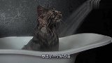主人为了避免给猫洗澡时被刮伤，想出了个奇葩的方法，真是没谁了