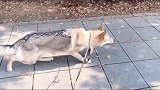 今日男友力爆棚安全感体验