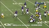 NFL-1415赛季-常规赛-第2周-乌鸦30码射门得分 钢人0：10乌鸦-花絮