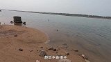 海边青苔下露出一条尾巴，撩开来一看，小伙高兴坏了