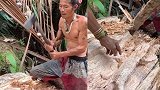 大叔用斧头劈开树干捕抓虫子 接下来的举动吓坏众人